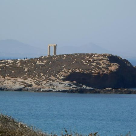 Naxos CityVasiliki'S House公寓 外观 照片